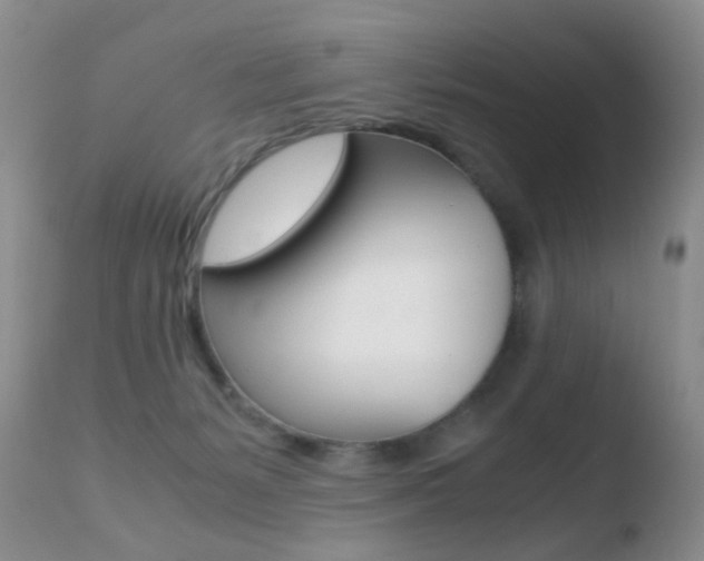 X0000110730127200906121319