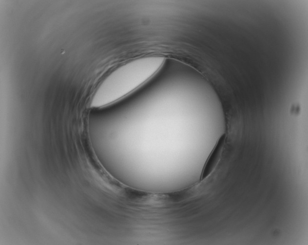X0000110730128200906121319