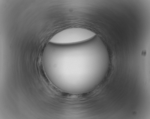 X0000110730129200906121319