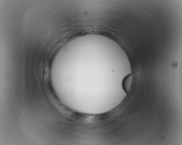 X0000110730130200906121319