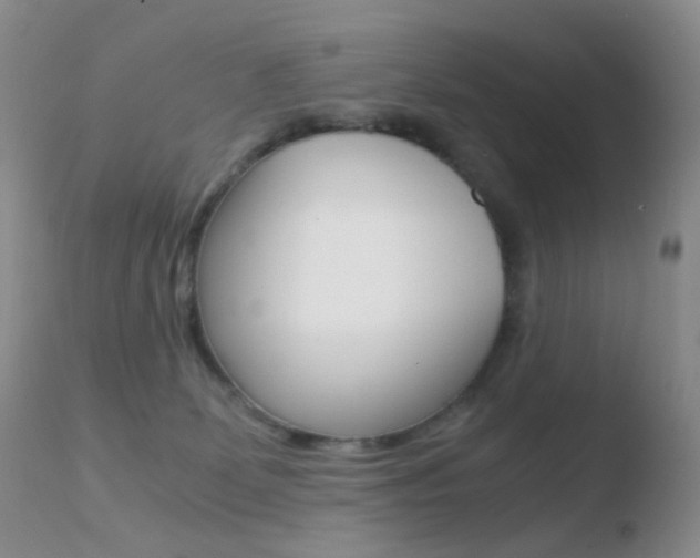 X0000110730131200906121319