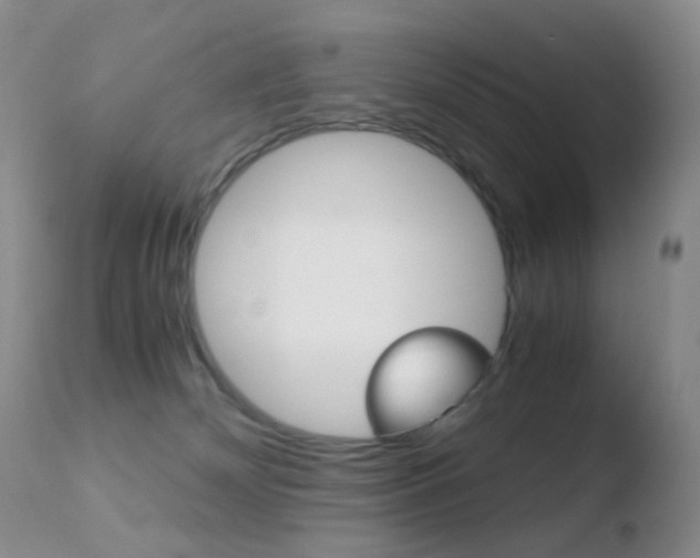 X0000110730132200906121319