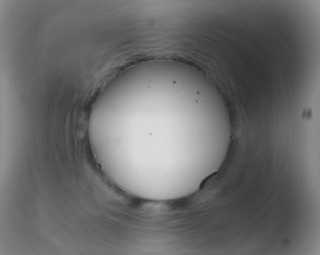 X0000110730133200906121319