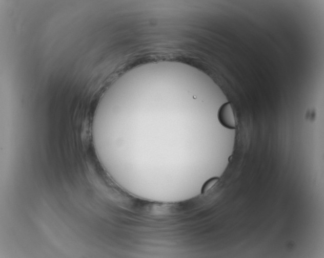 X0000110730134200906121319