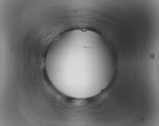 X0000110730135200906121319