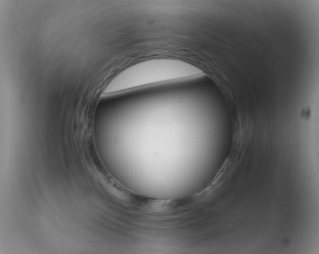 X0000110730136200906121319
