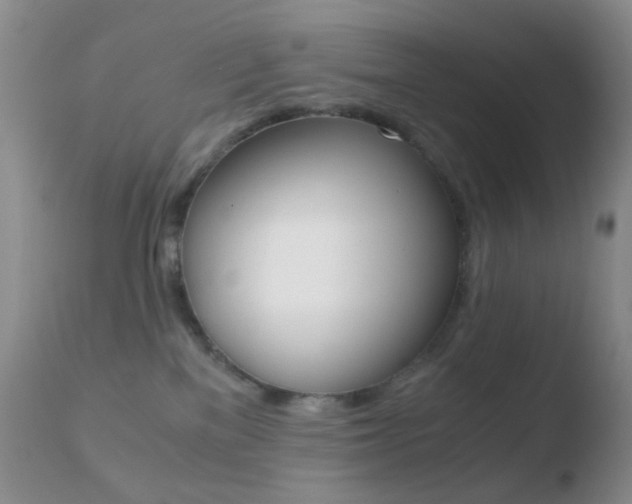 X0000110730137200906121319