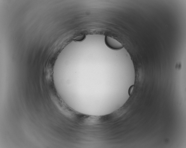 X0000110730138200906121319