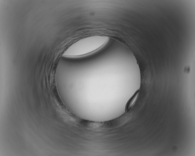 X0000110730139200906121319