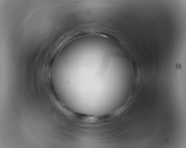 X0000110730140200906121319