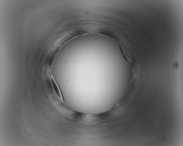 X0000110730141200906121319