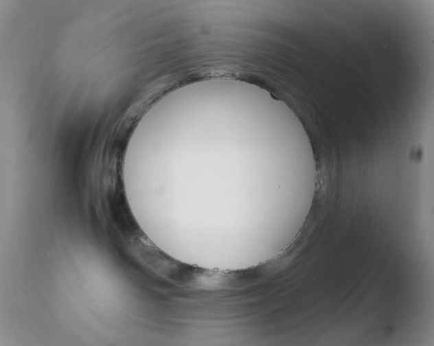 X0000110730142200906121319