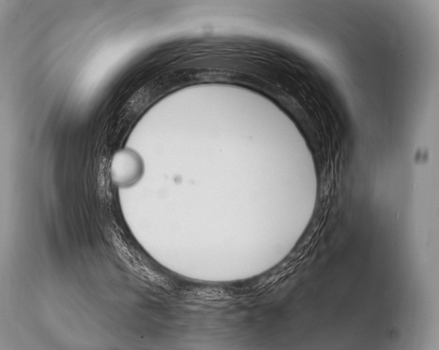 X0000110730146200906121318