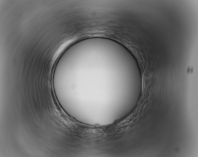 X0000110730147200906121318