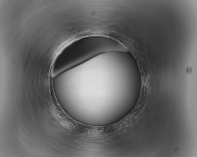 X0000110730148200906121318