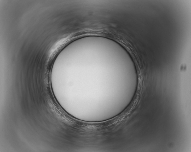 X0000110730149200906121318