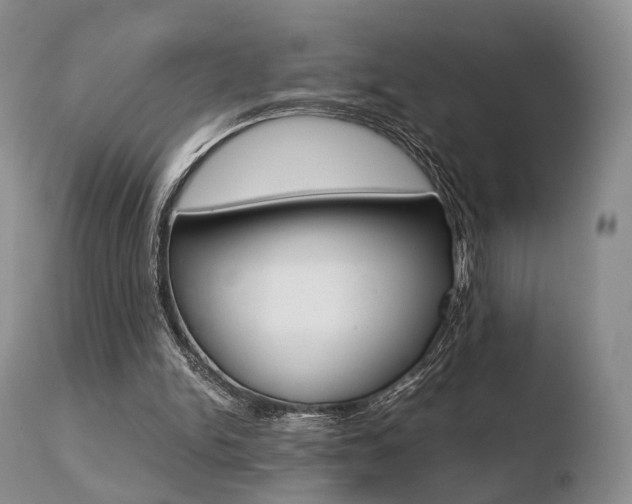 X0000110730150200906121318