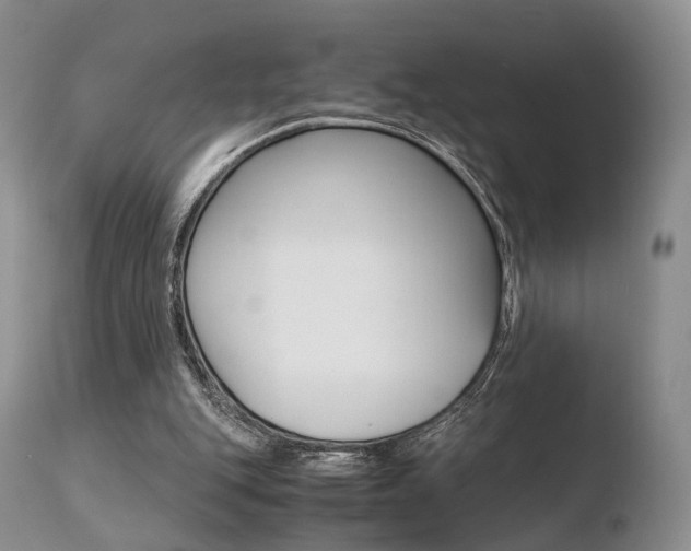 X0000110730151200906121318