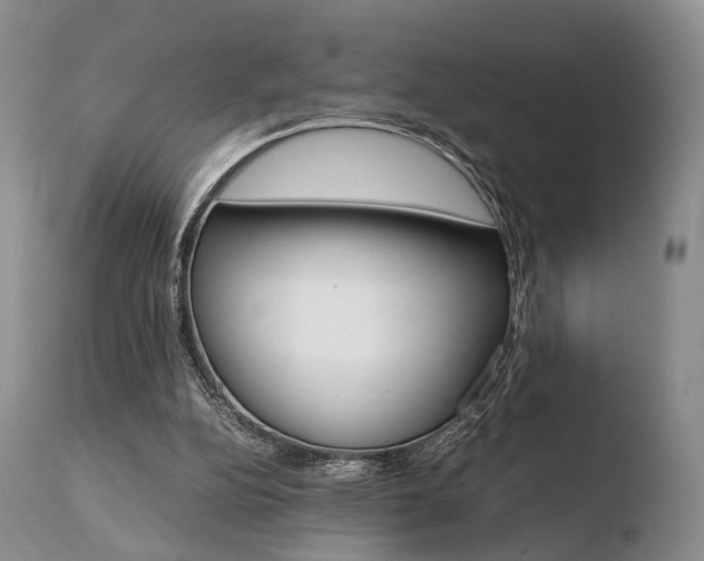 X0000110730152200906121318