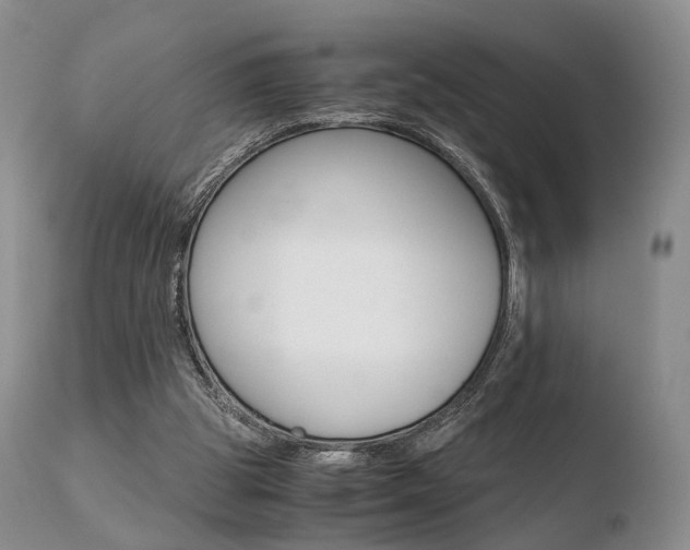 X0000110730153200906121318