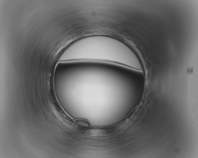 X0000110730154200906121318