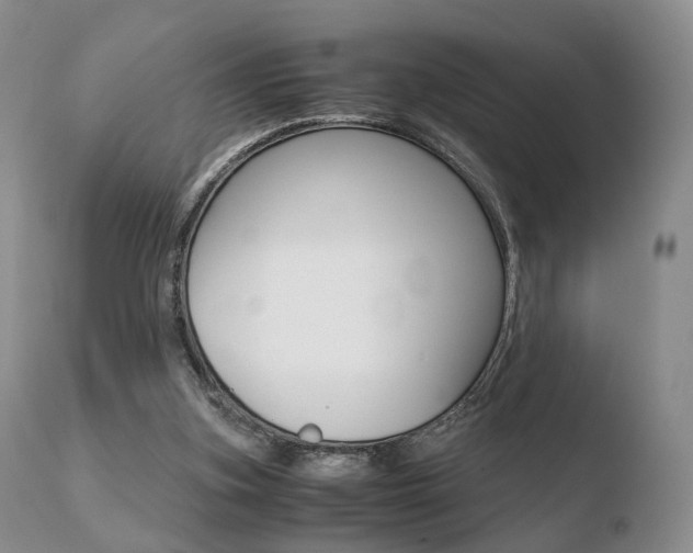 X0000110730155200906121319