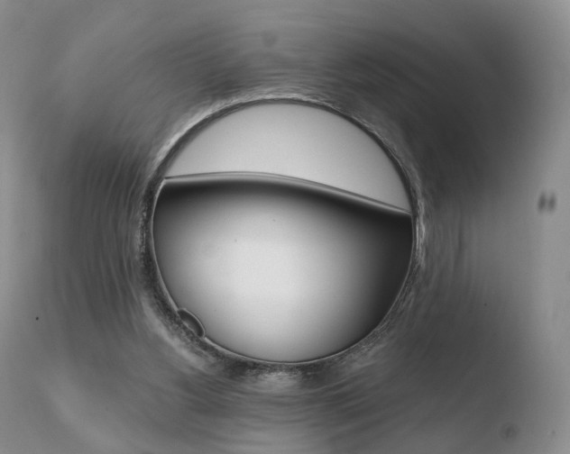 X0000110730156200906121319