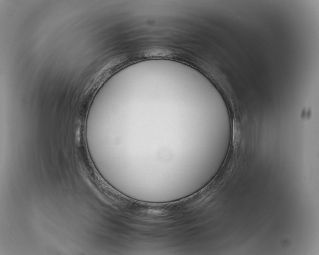 X0000110730157200906121319