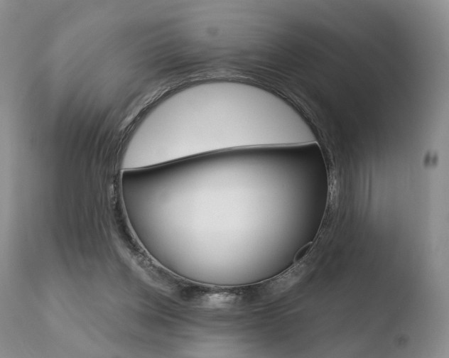 X0000110730158200906121319