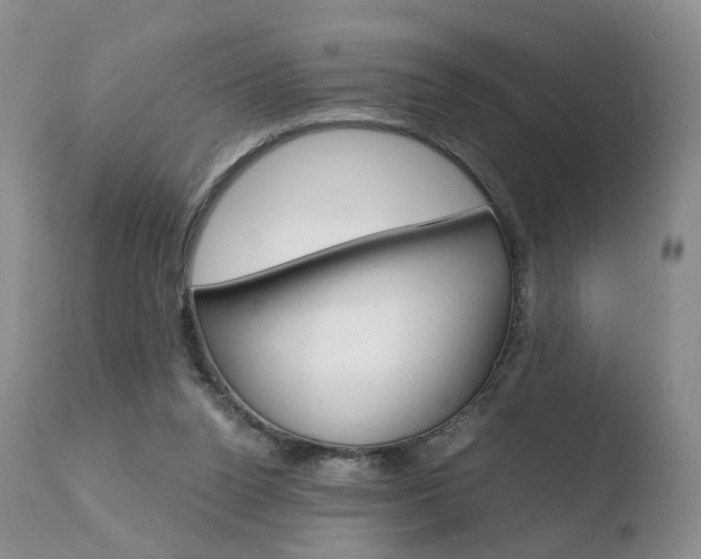 X0000110730160200906121319