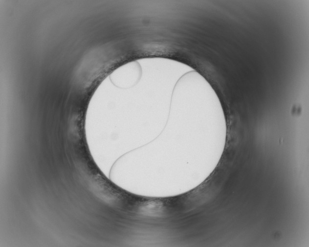 X0000110730162200906121319