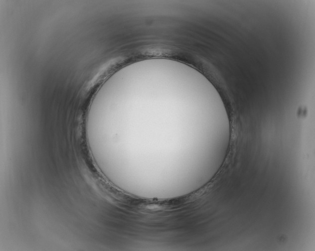 X0000110730163200906121319