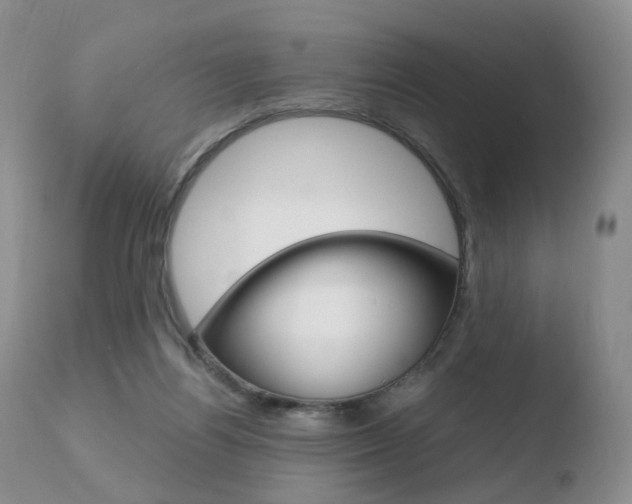 X0000110730164200906121319