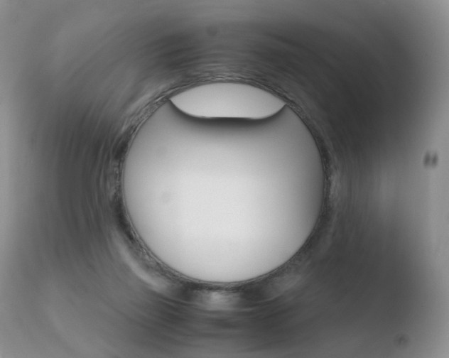 X0000110730165200906121319