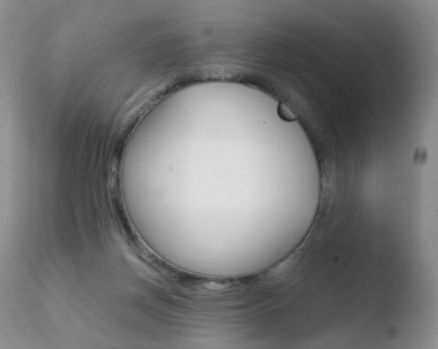 X0000110730166200906121319