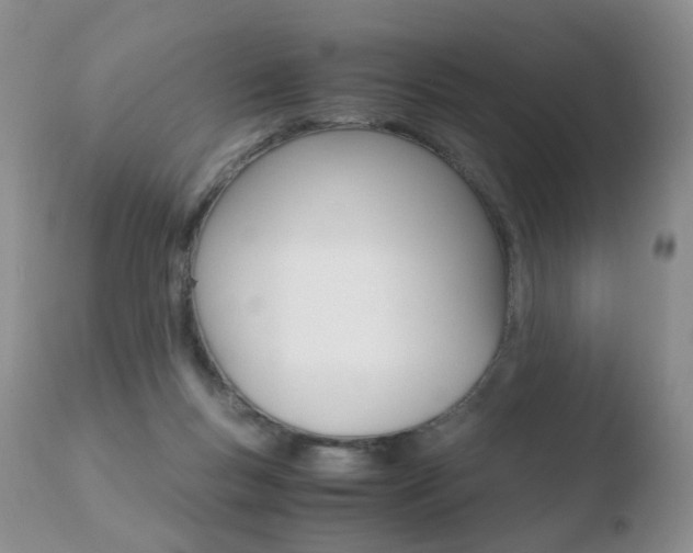 X0000110730167200906121319