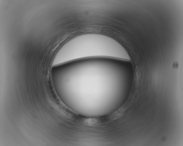 X0000110730168200906121319