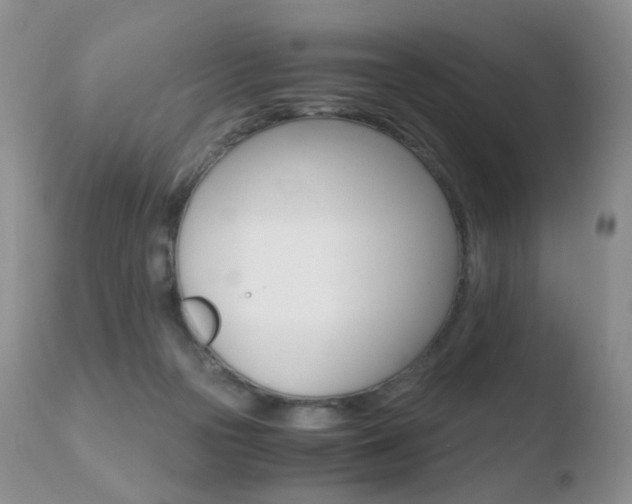 X0000110730169200906121319