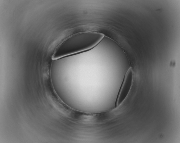 X0000110730170200906121319