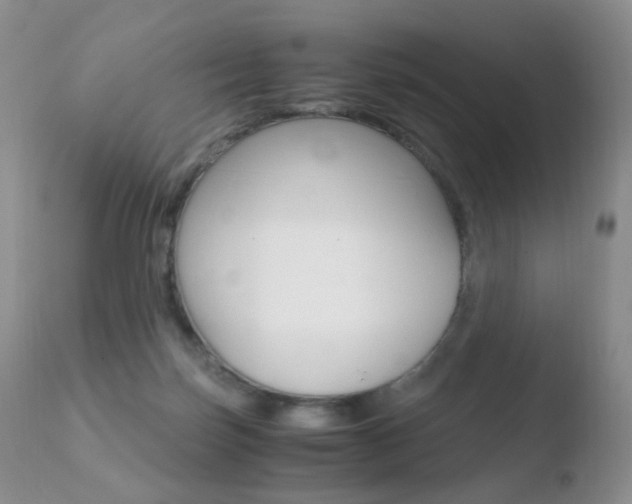 X0000110730171200906121319