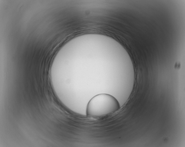 X0000110730172200906121319