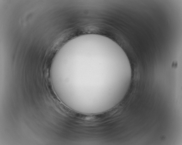X0000110730173200906121319