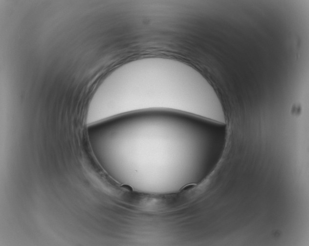 X0000110730174200906121319