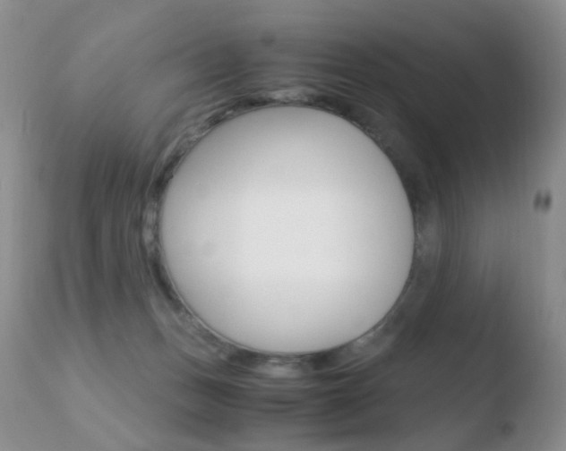 X0000110730175200906121319