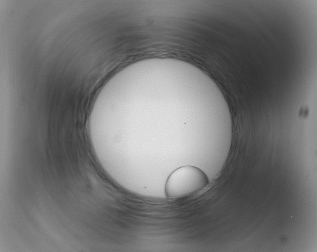 X0000110730176200906121319