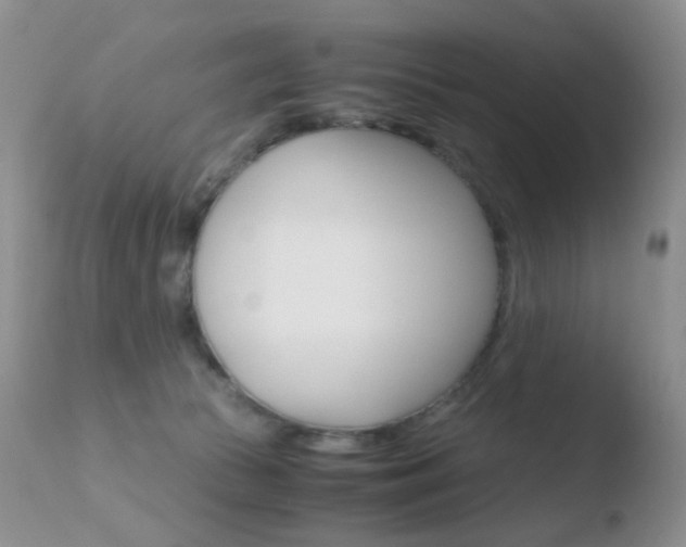 X0000110730177200906121319