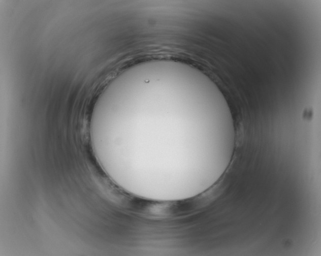 X0000110730178200906121319