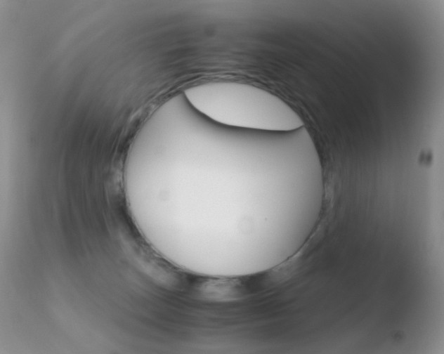X0000110730179200906121319