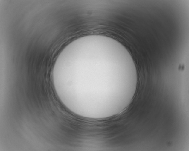 X0000110730180200906121319