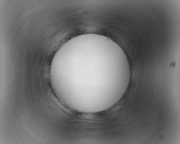 X0000110730181200906121319